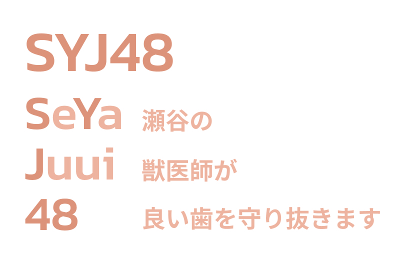 SYJ48のコンセプト